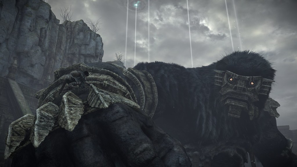 48474590102_2c5e176c2a_b